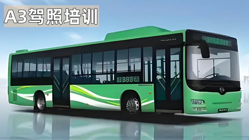 A3驾照培训